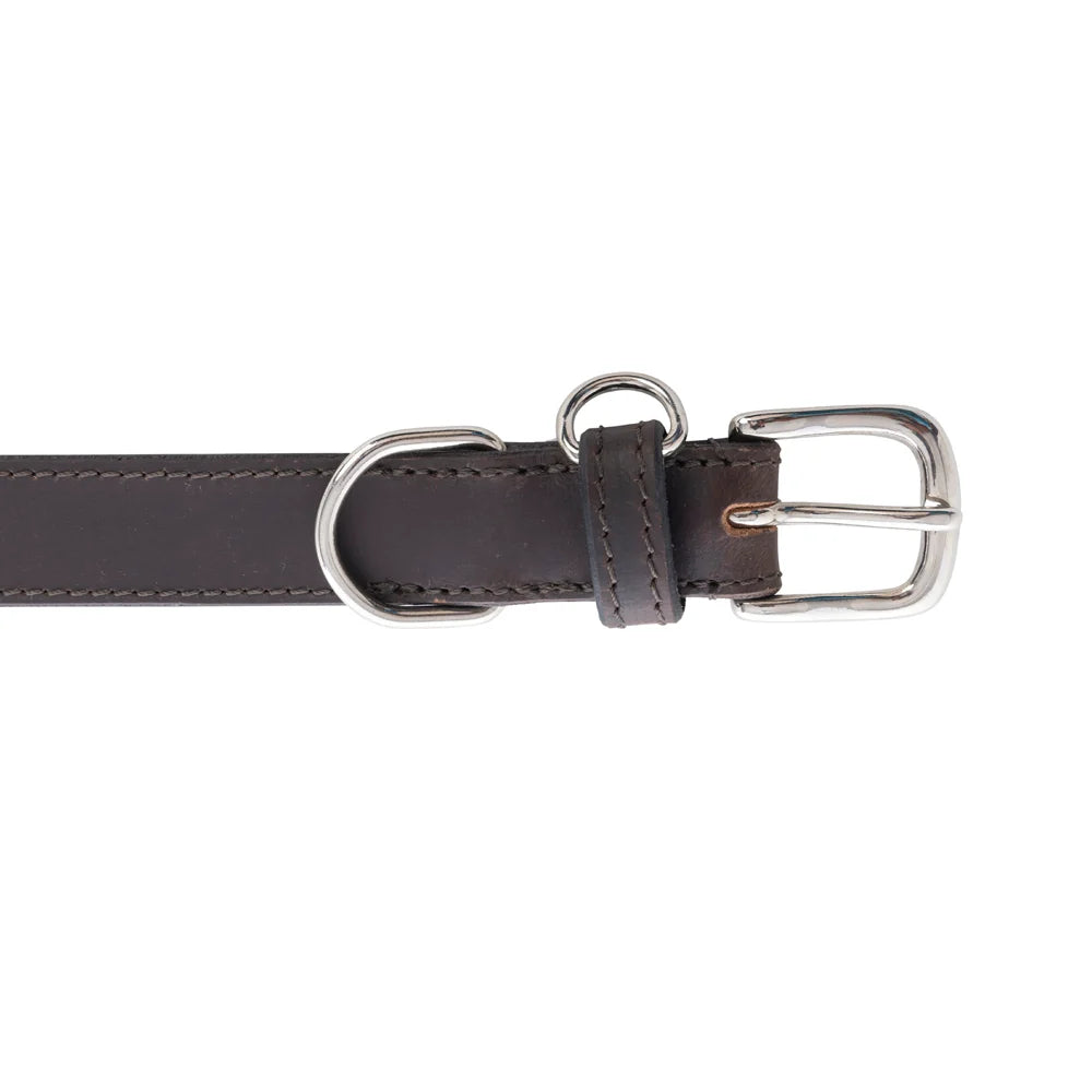 Myra Topside Dog Collar in Ebony