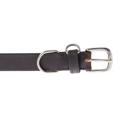 Myra Topside Dog Collar in Ebony