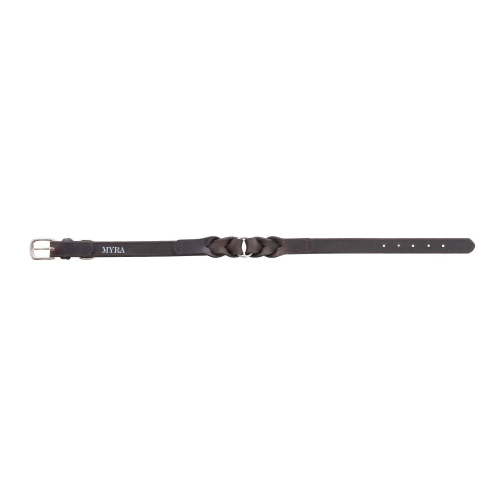 Myra Topside Dog Collar in Ebony