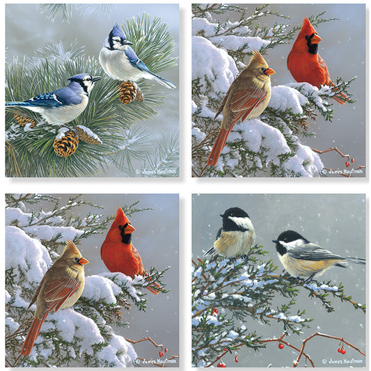 Carson Coaster 4 Square 4 Piece Winter Birds