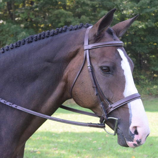 KL Black Oak Spruce Bridle