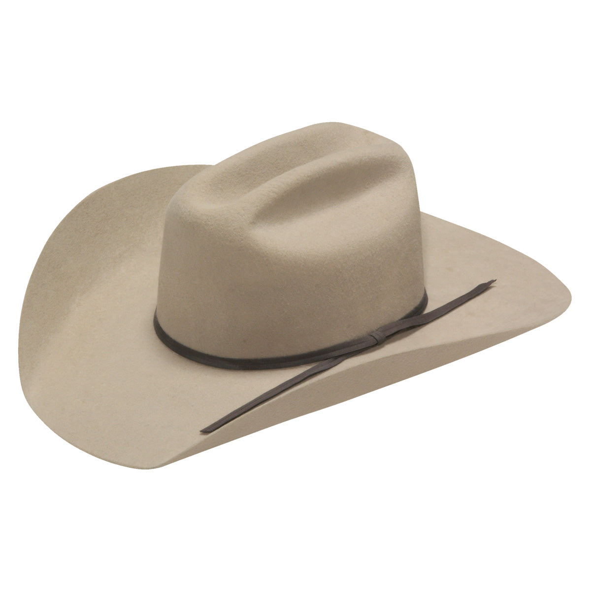 Twister Kids Silver Hat
