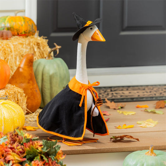 Evergreen Porch Goose Outfit Witch