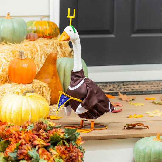Evergreen Porch Goose Outfit Football