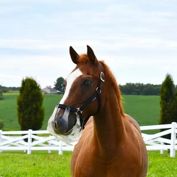 ThinLine Flexible Filly 3.5 cm Grazing Muzzle