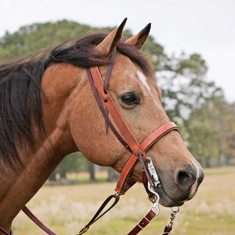 Cowboy Tack Knot Slip Ear Headstall