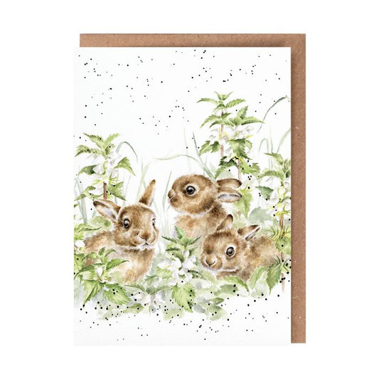 Wrendale Greeting Card Spring Hares