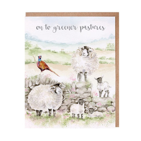 Wrendale Greeting Card I Spy a Butterfly