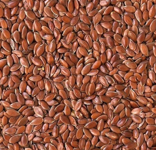 Flax Seed