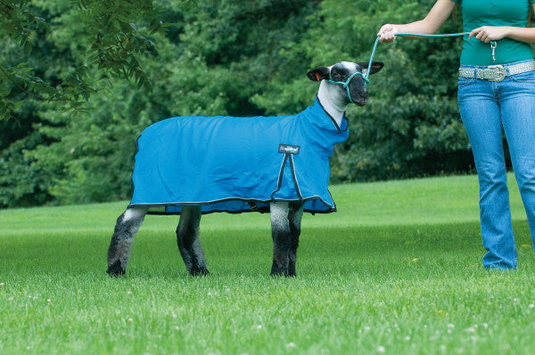 Weaver ProCool Sheep Blanket with Reflective Piping & Mesh Butt