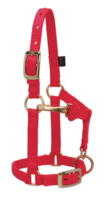 Weaver Adjustable Chin Throat Snap Halter Large Mini