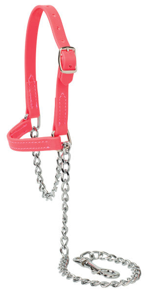 Weaver Sheep/Goat Brahma Webb® Halters