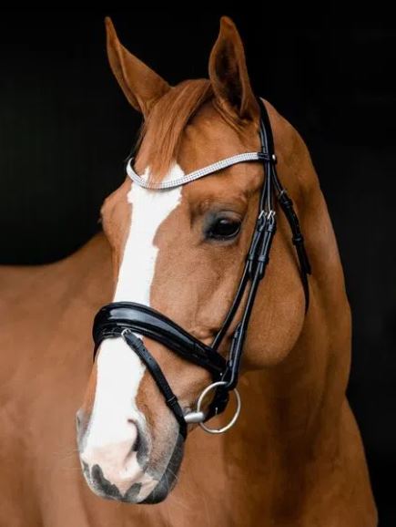 Horze Barcelona Snaffle Bridle