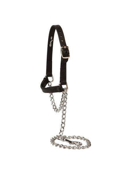 Weaver Sheep/Goat Brahma Webb® Halters