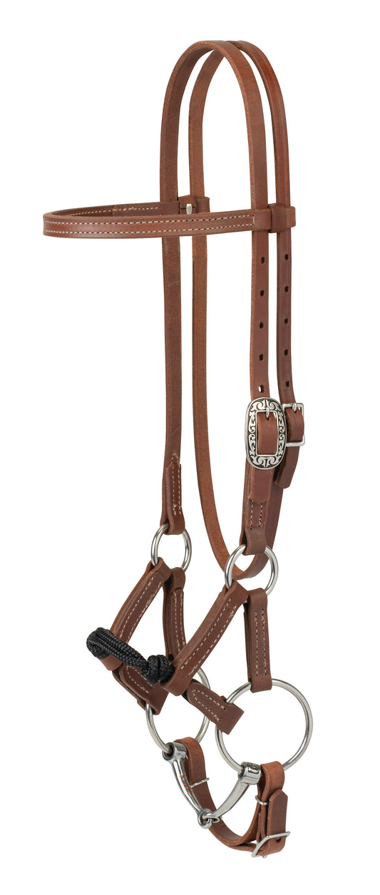 Kalley Krickeberg Horseman's Bridle for Transition from Bitless to Snaffle Bit
