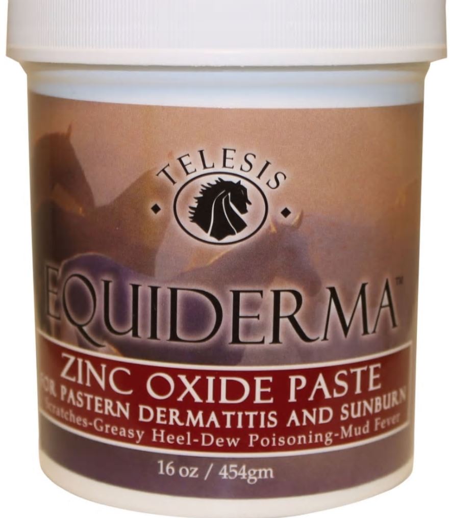 Equiderma Zinc Oxide Paste