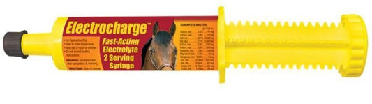 Finish Line Electrocharge Fast Acting Electrolyte