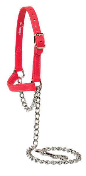 Weaver Sheep/Goat Brahma Webb® Halters