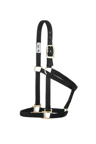Weaver Basic Non Adjustable Nylon Halter
