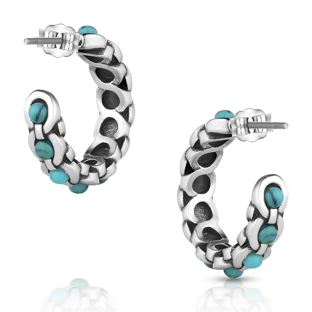 Montana Center Of It All Earrings
