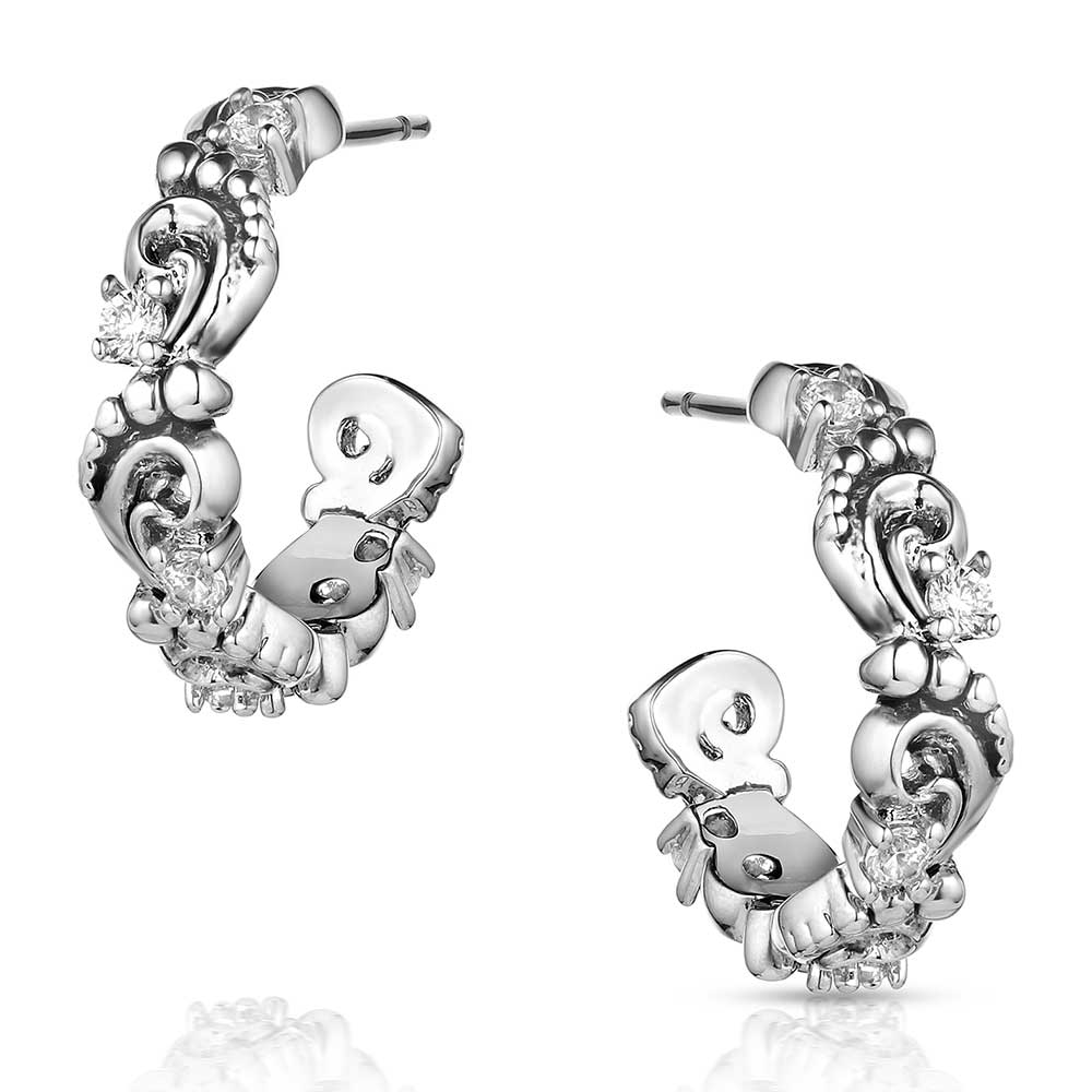 Montana Windblown Elegance Crystal Earrings