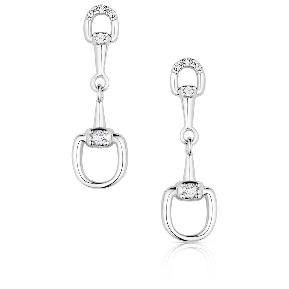 Montana AQHA Enjoy the Ride Earrings