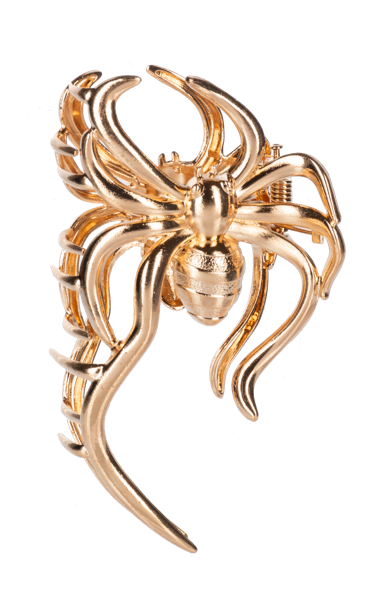 Ganz Boo-tiful Spider Hair Clip