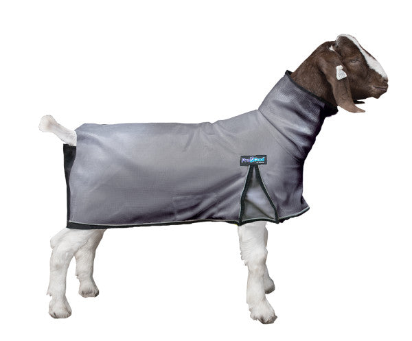 Weaver ProCool Goat Blanket with Reflective Piping & Mesh Butt
