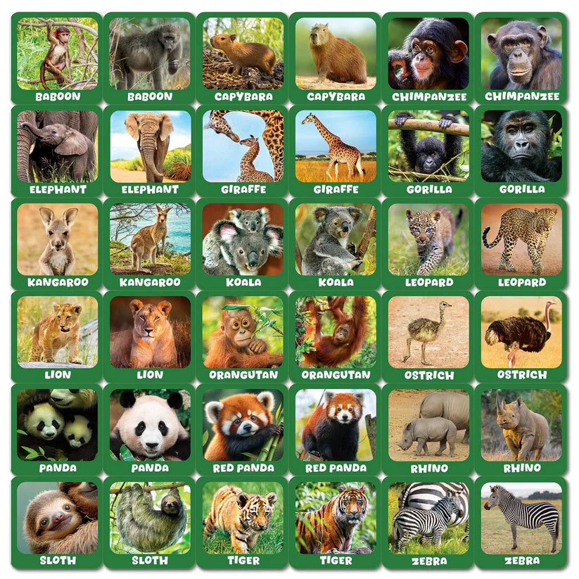 Leanin Tree Jr Zoo Keeper Animal Babies Matching Game