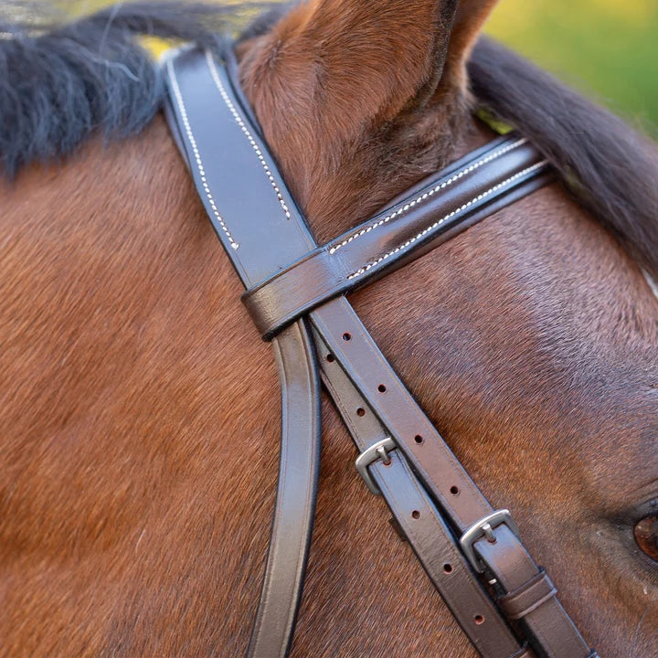 Equinavia Saga Wide Noseband Hunter Bridle