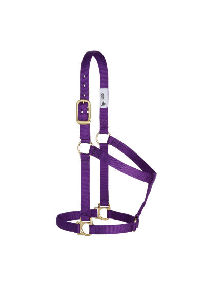 Weaver Basic Non Adjustable Nylon Halter