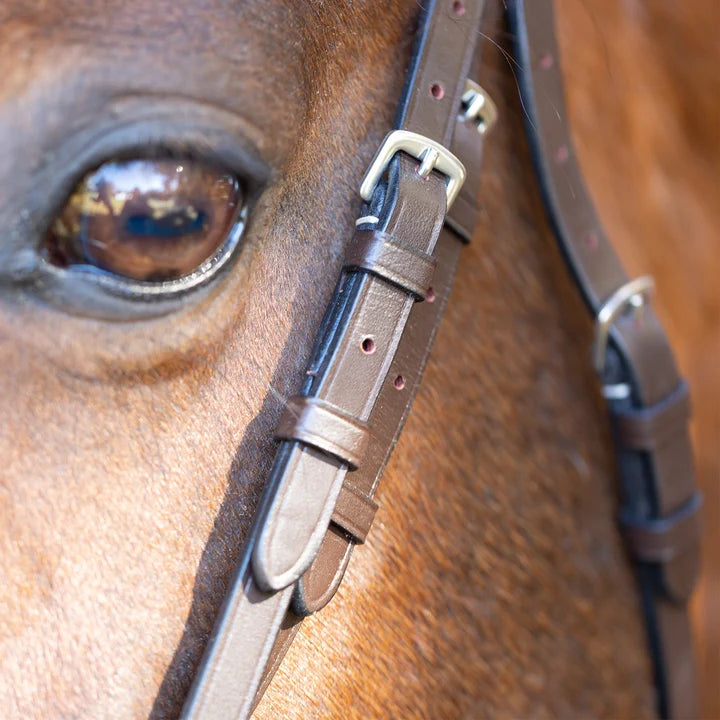 Equinavia Saga Wide Noseband Hunter Bridle