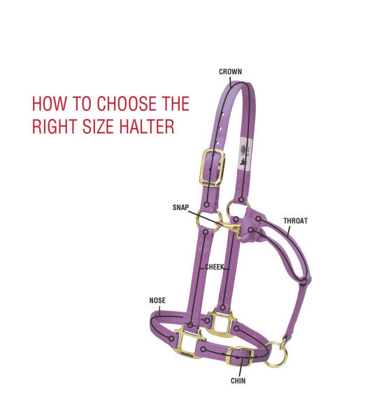 Weaver 1" Original Adjustable Halter