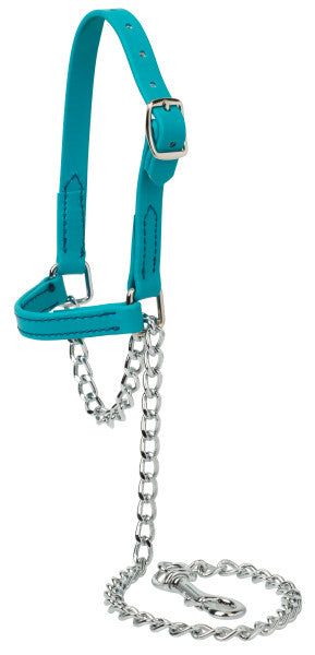Weaver Sheep/Goat Brahma Webb® Halters