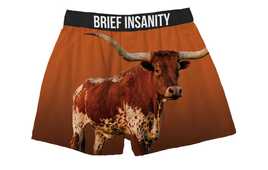 Brief Insanity Longhorn Orange Boxers