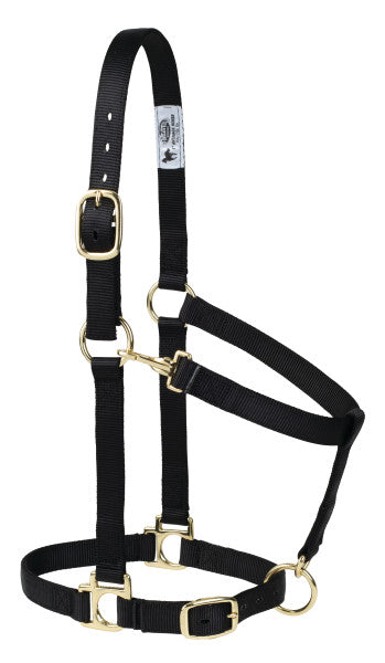 Weaver Adjustable High Density Poly Halter