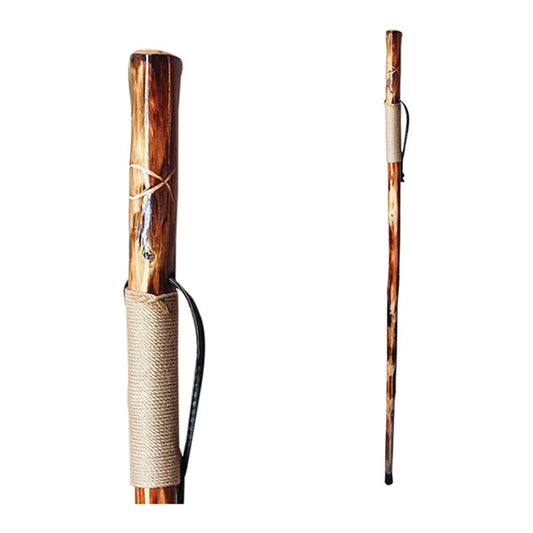 Manual Walking Stick Inspirational Fish