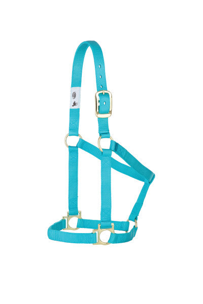 Weaver Basic Non Adjustable Nylon Halter