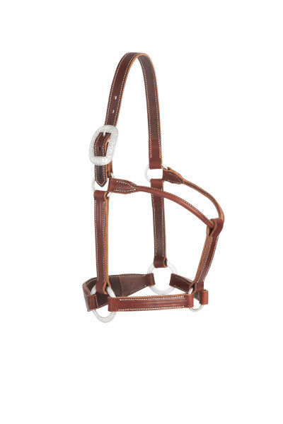 Weaver Leather Bronc Halter