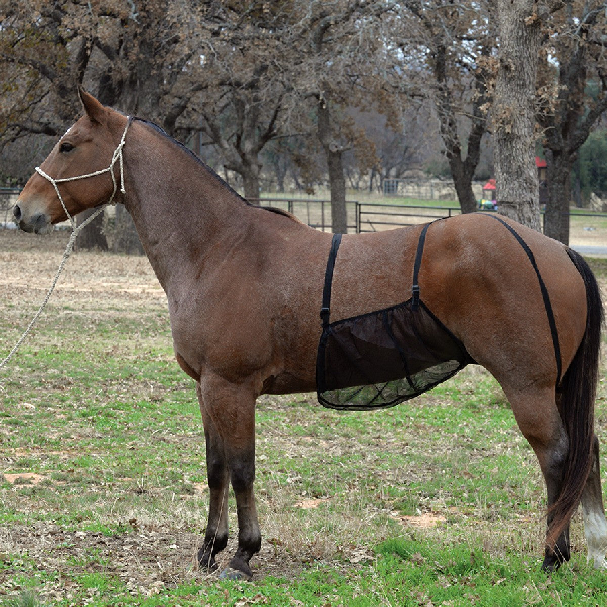 Cashel Quiet Ride Belly Guard