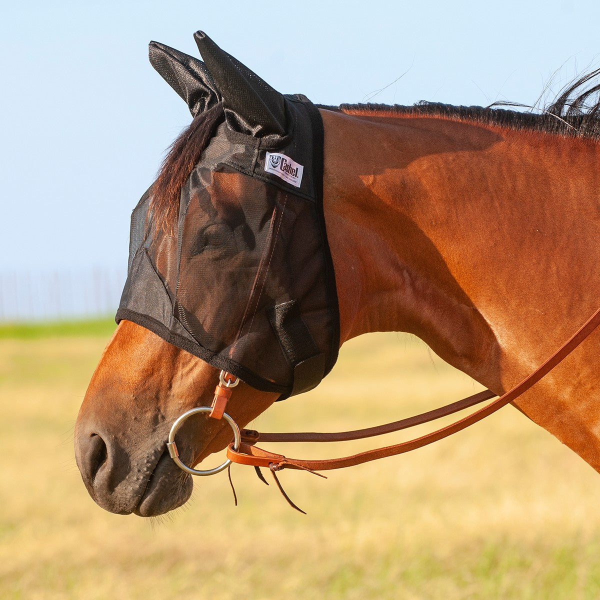 Cashel Quiet Ride Fly Mask Standard with Ears