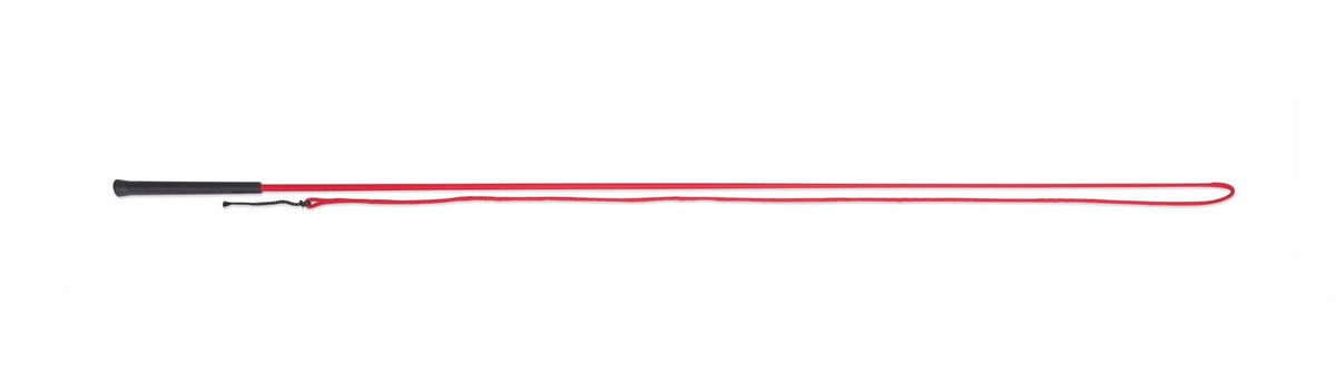 Lunging Whip Red