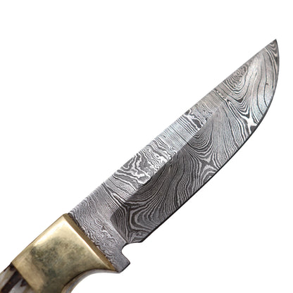 Red Deer 8.5" Bone Handle Damascus Blade