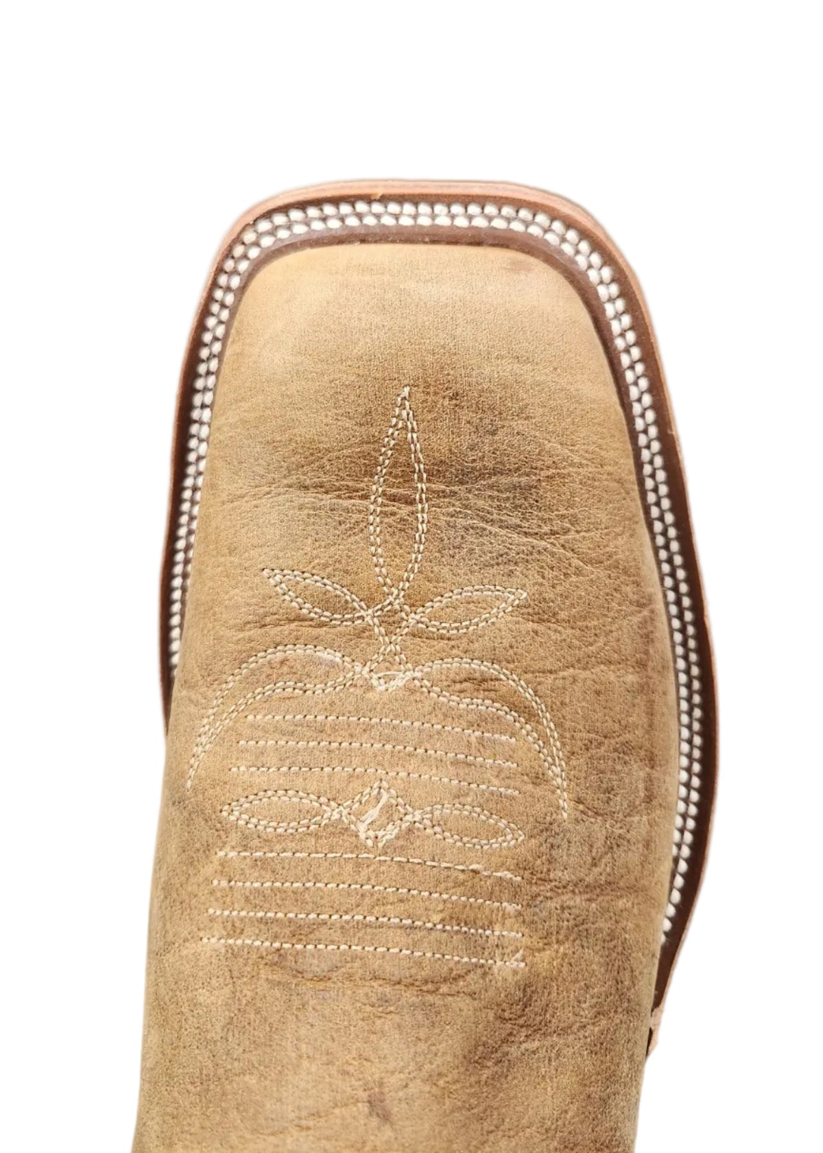 Anderson Bean Brahma Bison Natural