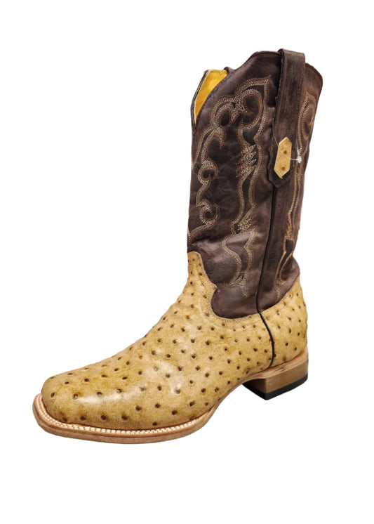 Cowtown Full Quill Ostrich Print Square Toe Orix