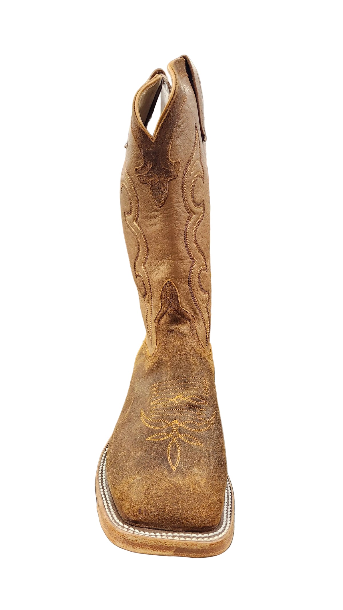 Anderson Bean Wheatbuck Waxy Kudu / Noce Bella