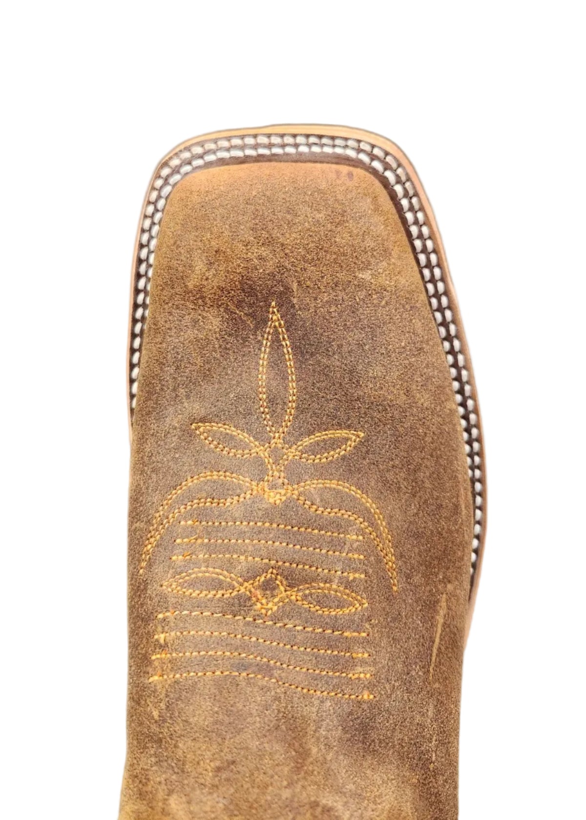 Anderson Bean Wheatbuck Waxy Kudu / Noce Bella