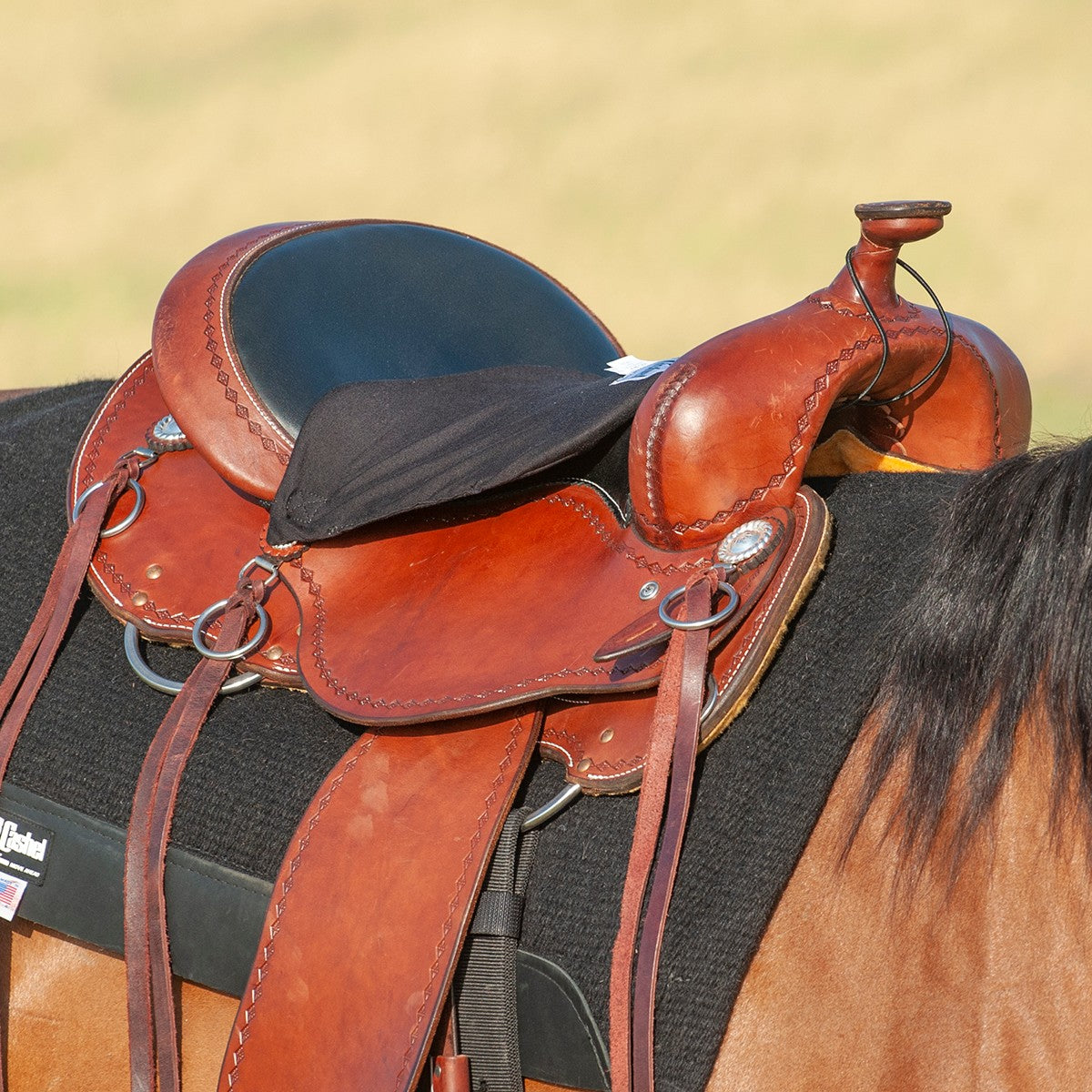 Cashel Foam Western Tush Cushion