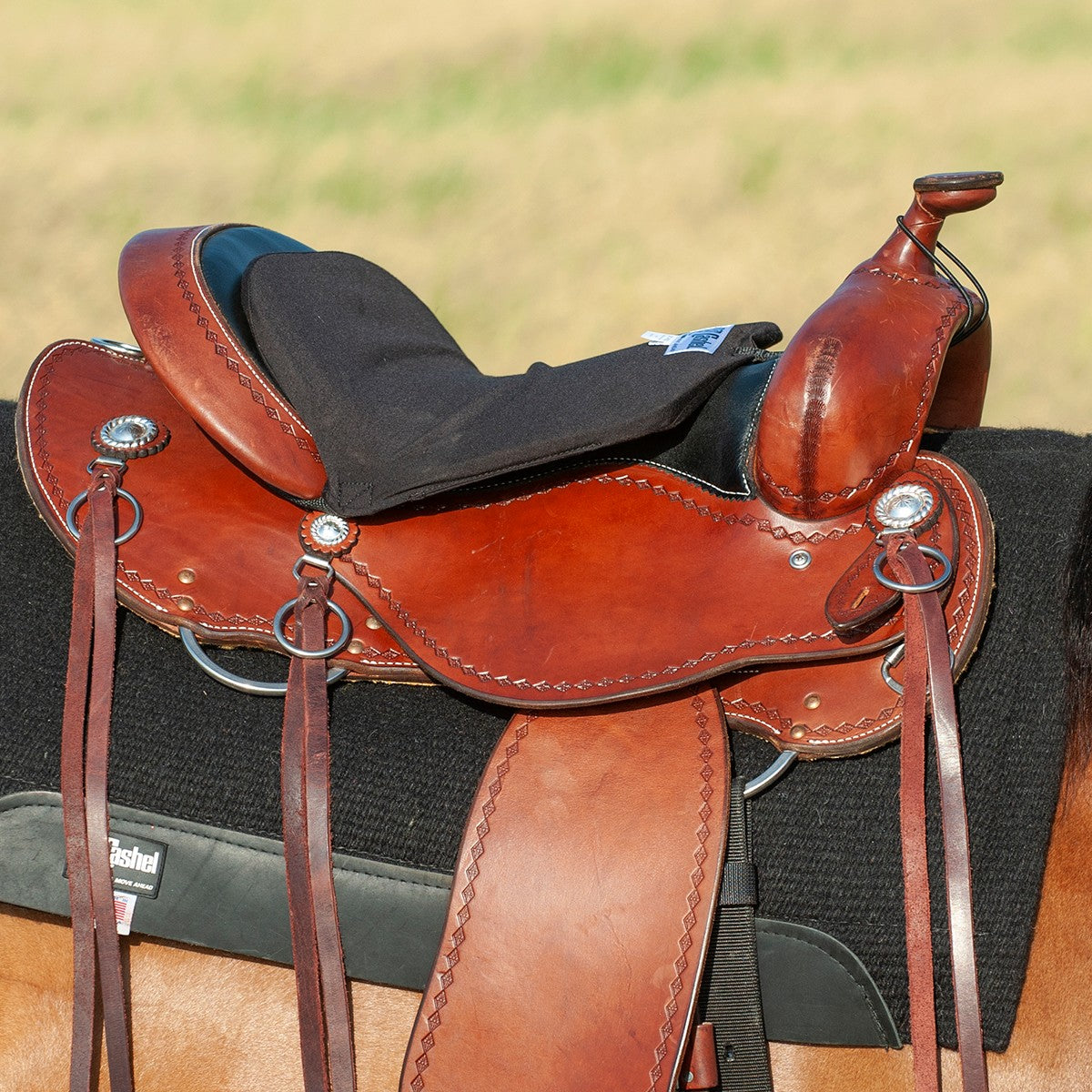 Cashel Foam Western Tush Cushion