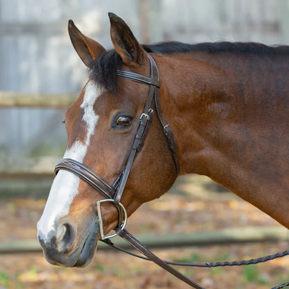 Equinavia Saga Wide Noseband Hunter Bridle